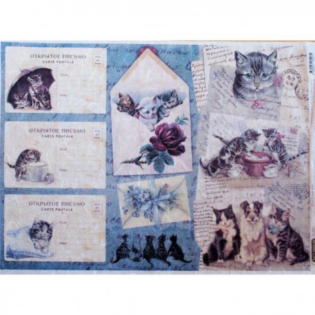 открытки с котиками