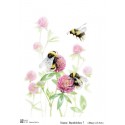 Декупажная карта Bumblebee 7 (Base of art)